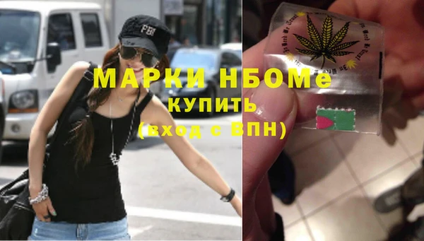 индика Беломорск