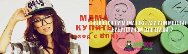 индика Беломорск