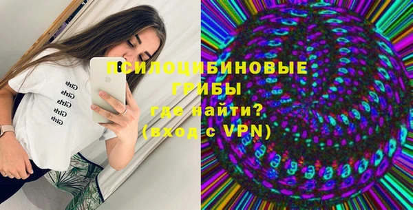 индика Беломорск