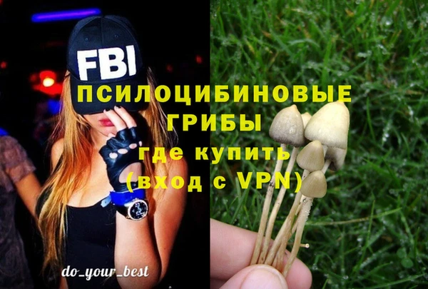 героин Белокуриха