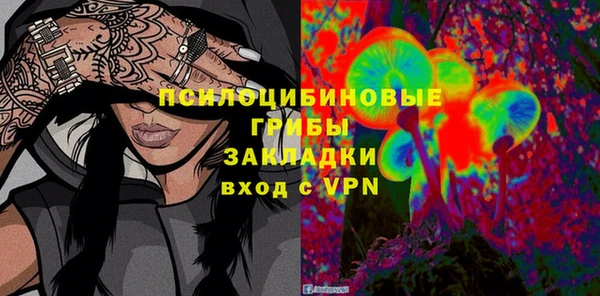 индика Беломорск